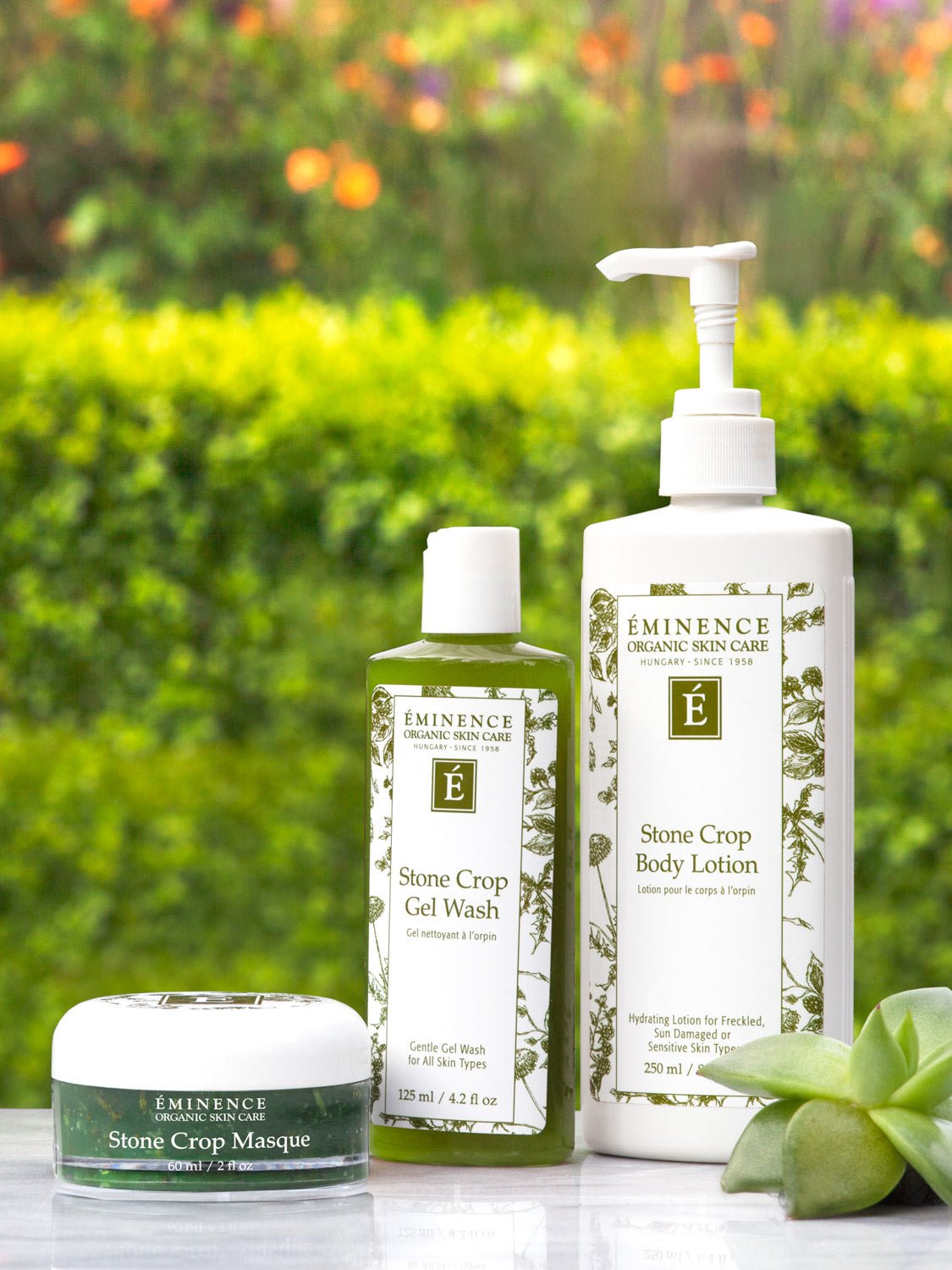 Mysa Day Spa - Eminence Stone Crop Gel Wash - Mysa Day Spa